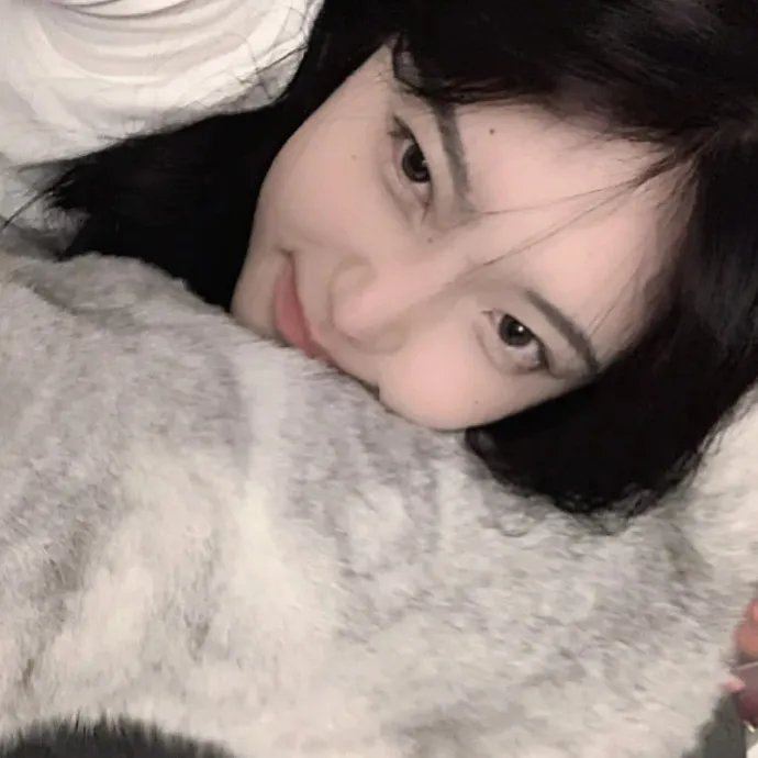 神探默多克第六季